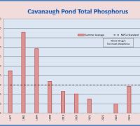 Cavanaugh TP 2025